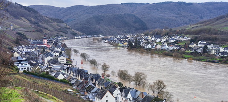 Hochwasser zell Mosel Januar 2024