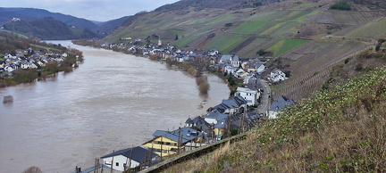 Hochwasser zell Mosel Januar 2024