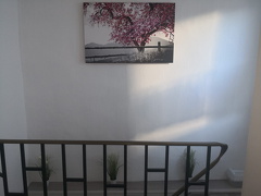 Flur Treppenhaus Eingangsbereich