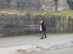  Collis Steilpfad Zell Mosel