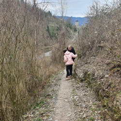 Collis Steilpfad Zell Mosel