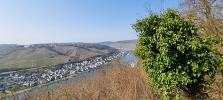 WhatsApp Image 2022-03-21 at 20 34 52