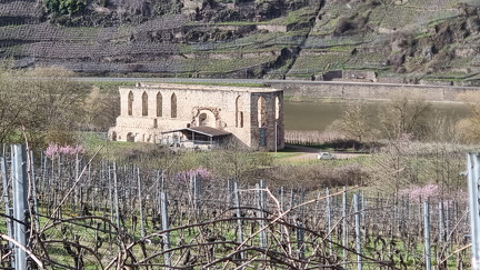 Klosterruine Stuben bei Bremm
