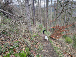 Rundwanderweg Liebesschlucht Zell Mosel