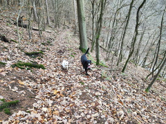 Rundwanderweg Liebesschlucht Zell Mosel