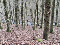 Rundwanderweg Liebesschlucht Zell Mosel