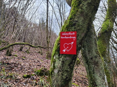 Rundwanderweg Liebesschlucht Zell Mosel