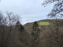 Rundwanderweg Liebesschlucht Zell Mosel