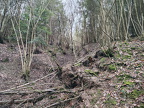 Rundwanderweg Liebesschlucht Zell Mosel