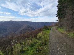 Rundwanderweg Liebesschlucht Zell Mosel