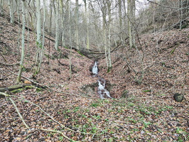 Rundwanderweg Liebesschlucht Zell Mosel