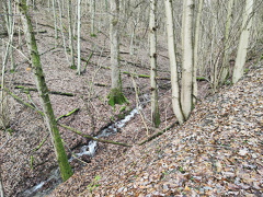 Rundwanderweg Liebesschlucht Zell Mosel