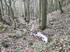 Rundwanderweg Liebesschlucht Zell Mosel