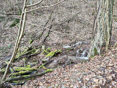 Rundwanderweg Liebesschlucht Zell Mosel