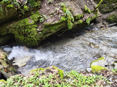 Rundwanderweg Liebesschlucht Zell Mosel