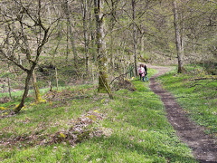 Rundwanderweg Liebesschlucht Zell Mosel