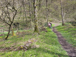 Rundwanderweg Liebesschlucht Zell Mosel