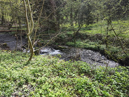 Rundwanderweg Liebesschlucht Zell Mosel