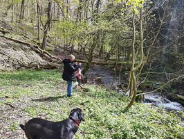 Rundwanderweg Liebesschlucht Zell Mosel