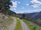 Rundwanderweg Liebesschlucht Zell Mosel (2328 Besuche) Rundwanderweg Liebesschlucht Zell Mosel
