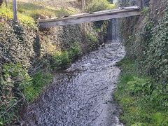 Rundwanderweg Liebesschlucht Zell Mosel