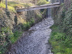 Rundwanderweg Liebesschlucht Zell Mosel (2603 Besuche) Rundwanderweg Liebesschlucht Zell Mosel