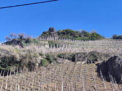 Rundwanderweg Liebesschlucht Zell Mosel