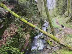 Rundwanderweg Liebesschlucht Zell Mosel
