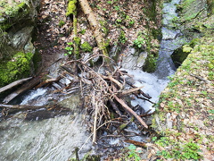 Rundwanderweg Liebesschlucht Zell Mosel