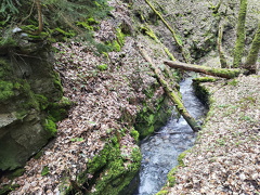 Rundwanderweg Liebesschlucht Zell Mosel