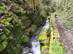 Rundwanderweg Liebesschlucht Zell Mosel