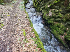 Rundwanderweg Liebesschlucht Zell Mosel