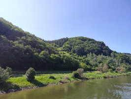 Moselrundfahrt Richtung Burg und wieder zurück nach Zell 2023