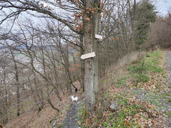 IMG 20221228 114032