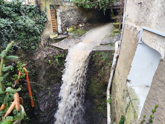 IMG 20221224 113749