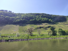 Moselrundfahrt Richtung Burg und wieder zurück nach Zell 2023