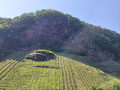 Moselrundfahrt Richtung Burg und wieder zurück nach Zell 2023