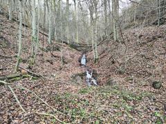 IMG 20221225 131405