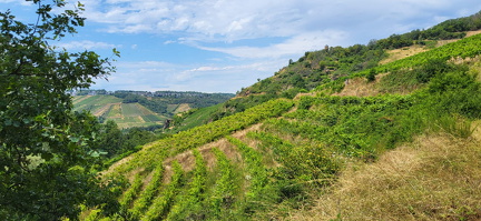 IMG-20230807-WA0030