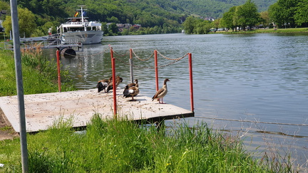 IMG-20240204-WA0046