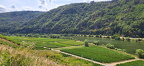 IMG-20230807-WA0013 (375 Besuche) IMG-20230807-WA0013