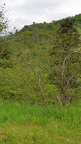 IMG-20240204-WA0102