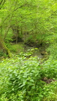 IMG-20240204-WA0089