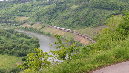 IMG-20240204-WA0142