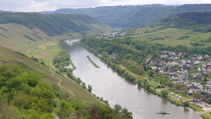 IMG-20240204-WA0156