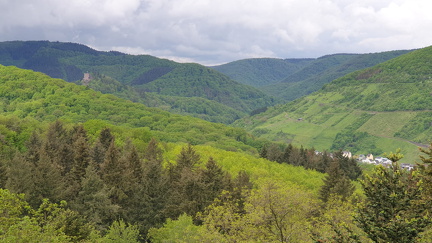 IMG-20240204-WA0155
