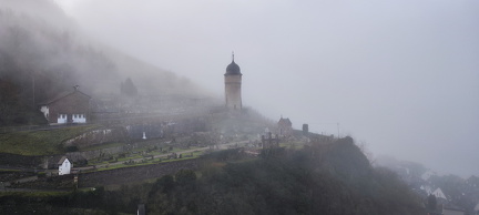 Ein schöner Spaziergang am Morgen durch die Weinberge von Zell