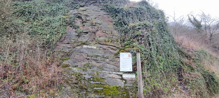 Wanderung in den Weinbergen oberhalb von Zell Mosel am 11.02.2024