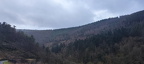 Wanderung in den Weinbergen oberhalb von Zell Mosel am 11.02.2024