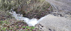 Wanderung in den Weinbergen oberhalb von Zell Mosel am 11.02.2024 (2858 Besuche) Wanderung in den Weinbergen oberhalb von Zell Mosel am 11.02.2024